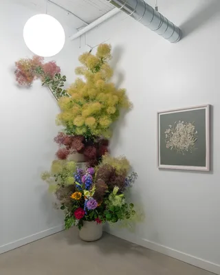 20220709 Alex Fischer Giving Entry NAMARA projects 81 Doom in Bloom artwork.jpg